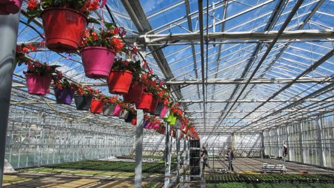 L’Assemblée générale de la FNMJ a été l’occasion d’évoquer la saison en cours, bonne en pépinière, mais plus tendue pour les plantes fleuries. P.FAYOLLE